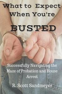 bokomslag What To Expect When You're Busted: Successfully Navigating the Maze of Probation and House Arrest