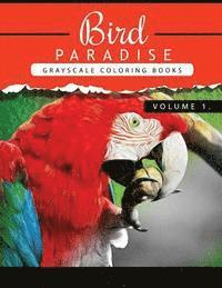 Bird Paradise Volume 1: Bird Grayscale coloring books for adults Relaxation Art Therapy for Busy People (Adult Coloring Books Series, grayscal 1