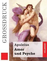 bokomslag Amor und Psyche (Großdruck)