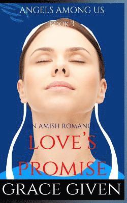 bokomslag An Amish Romance: Love's Promise