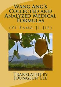 bokomslag Wang Ang's Collected and Analyzed Medical Formulas: (Yi Fang Ji Jie)