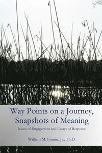 bokomslag Way Points on a Journey, Snapshots of Meaning