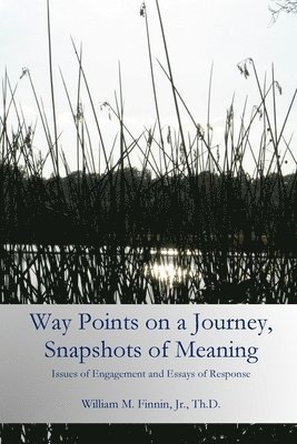 bokomslag Way Points on a Journey, Snapshots of Meaning