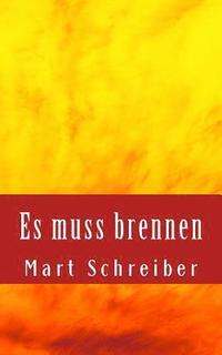 bokomslag Es muss brennen: Geschichten zu den Themen Asyl und Culture Clash