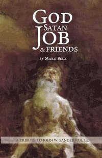 bokomslag God Satan Job & Friends