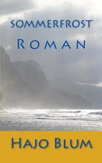 bokomslag Sommerfrost: Roman