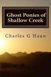 bokomslag Ghost Ponies of Shallow Creek: For Young Readers