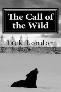 Jack London, Angel Sanchez - The Call of the Wild, Häftad