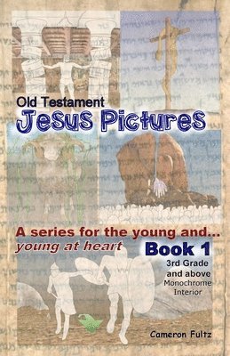 Jesus Pictures for the young and young at heart 1