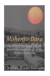 bokomslag Mohenjo-daro: The History and Legacy of the Ancient Settlement of the Indus Valley Civilization