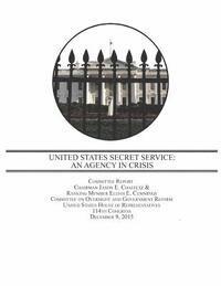 bokomslag United States Secret Service: An Agency in Crisis
