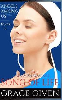 bokomslag An Amish Romance: Song Of Life