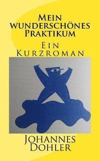 Johannes Dohler - Mein wunderschönes Praktikum, Häftad