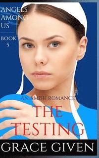 bokomslag An Amish Romance: The Testing