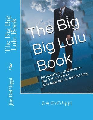 bokomslag The Big Big Lulu Book