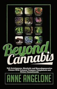 bokomslag Beyond Cannabis: Halt Autoimmune, Metabolic and Neurodegenerative Disease With Common Terpenes, Polyphenols and Dietary Cannabinoids
