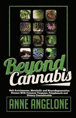 bokomslag Beyond Cannabis: Halt Autoimmune, Metabolic and Neurodegenerative Disease With Common Terpenes, Polyphenols and Dietary Cannabinoids