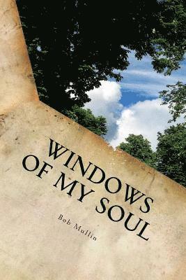 bokomslag Windows of My Soul