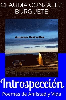 bokomslag Introspección