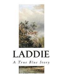 bokomslag Laddie: A True Blue Story