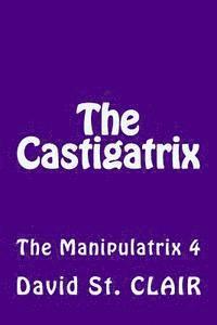 bokomslag The Castigatrix: The Manipulatrix 4