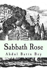 bokomslag Sabbath Rose: Poems Of An Unusual Spirit