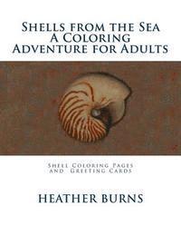 Shells From the Sea: Coloring Pages and Greeting Cards 1