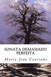 bokomslag Sonata demasiado perfeita