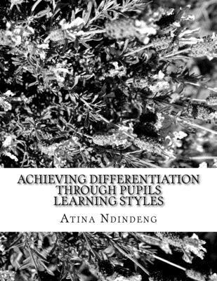 bokomslag Achieving differentiation through Pupils Learning Styles: Research Paper