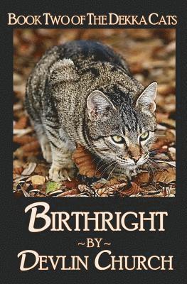 bokomslag Birthright - Book Two of The Dekka Cats