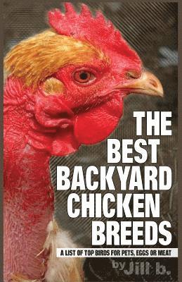 The Best Backyard Chicken Breeds (B&W Edition): A List of Top Birds For Pets, Eggs or Meat 1