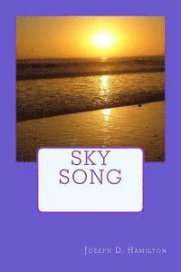 bokomslag Sky Song