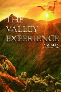 bokomslag The Valley Experience