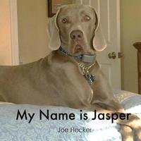 bokomslag My Name is Jasper