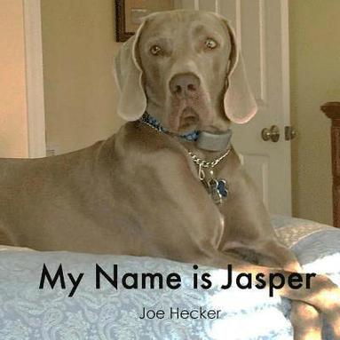 bokomslag My Name is Jasper