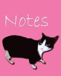 bokomslag Cat Notes