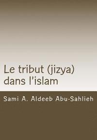 bokomslag Le Tribut (Jizya) Dans l'Islam: Interprétation Du Verset Coranique 113/9:29 Relatif Au Tribut (Jizya) À Travers Les Siècles