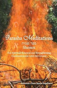 bokomslag Parasha Meditations: Shemot - Internalizing Healing Transformation: For Spiritual Renewal and Strengthening Communication with the Creator