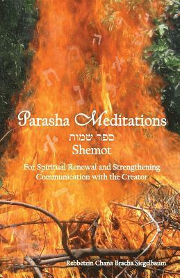 Parasha Meditations: Shemot - Internalizing Healing Transformation: For Spiritual Renewal and Strengthening Communication with the Creator 1