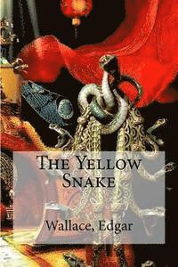 bokomslag The Yellow Snake