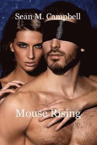 bokomslag Mouse Rising