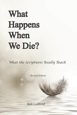 bokomslag What Happens When We Die?