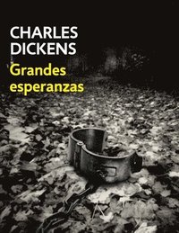 bokomslag Grandes Esperanzas (Spanish Edition)
