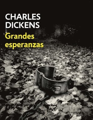 Grandes Esperanzas (Spanish Edition) 1