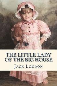 bokomslag The Little Lady of the Big House