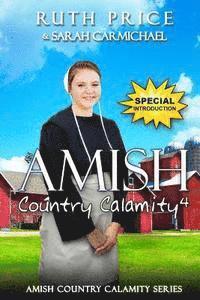 bokomslag AN Amish Country Calamity 4