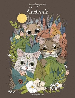 bokomslag Livre de coloriage enchanté pour adultes 1 & 2