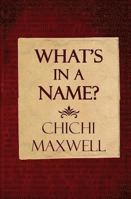 bokomslag What's in a name: Understanding Name