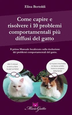 Come capire e risolvere i 10 problemi comportamentali più comuni del gatto 1