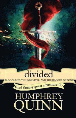 bokomslag Divided (Bloodlines, the Immortal, and the Dagger of Bone)